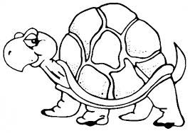 Tortoise gambar kura kura kartun hitam putih clipart 1217185. 41 Koleksi Gambar Hitam Putih Kura Kura Terbaru Gambar Keren