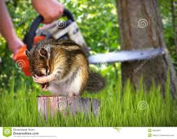 Resultado de imagen para destruccion de la naturaleza