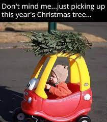 Funny Pictures Of The Day 36 Pics Christmas Quotes Funny Christmas Humor Funny Pictures