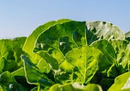 ZAG Technical Services, 9 Reviews, Address, Data & More