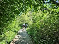 Lincoln City Bird Walk - Hostetler Park & Devils Lake