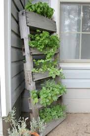 Pin By Rita Nielsen Bosier On My Secret Garden Herb Garden Pallet Diy Herb Garden Vertical Garden