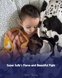 Sully is home on hospice. For the last 20 months, she's been ...