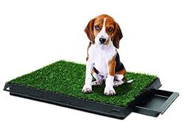 synturfmats indoor pet potty patch puppy pee training pad deluxe 3 pieces dog relief system with drawer green medi dog training pads indoor dog indoor pets