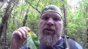 Costa Rican Quest: Cloud Forest in Savegre River Valley