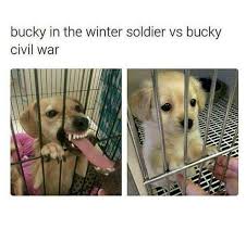 I Laughed At This Longer Than I Should Of Yuri On Ice Bts Funny Marvel