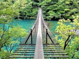 The site owner hides the web page description. éå²¡çã®è¦³ååæ35é¸ å¯å£«å±± ä¼è±ããéå²¡å¸ æµæ¾å¸ æµåæ¹ã¾ã§å¾¹åºè§£èª¬ Tabi Channel