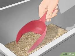 They make tasty treats for all feathered fowl. How To Care For Mealworms 9 Steps With Pictures Wikihow