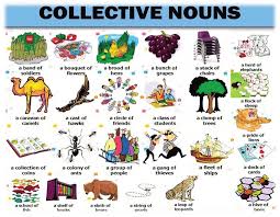 Herd means a group of cattle. 2 Collective Noun Source Https Www Fluentland Com For Further Download Scientific Diagram