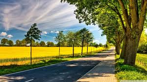 Salah satu faktor dalam dunia percintaan adalah mengobral kata kata romantis buat pacar. Landscape Wallpaper Hd Natural Landscape Nature Sky Road Tree Yellow Daytime Asphalt Field Lane 1187945 Wallpaperkiss