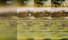 How Does Your Camera Work Aperture Aperture Photography Aperture Examples Aperture Photography Examples