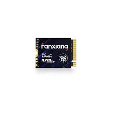 fanxiang S301 mSATA SSD for PC/Laptop 1TB
