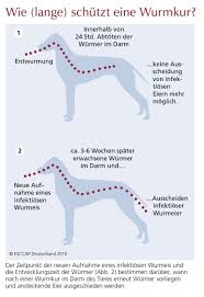 Neben milpro katze gibt es auch ein milpro hund, das ebenfalls von virbac produziert und vertrieben wird. Tierinfo Wie Lange Schutzt Eine Wurmkur