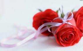 Rose Flower Meanings Based On Color 15 Beautiful Rose Photos Flower Rose Images Rose Flower Wallpaper Flower Meanings