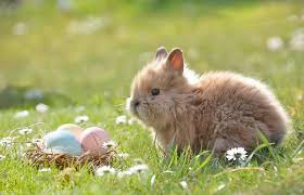 Was feiern wir an karsamstag? Familien Feiern Feste Ostern