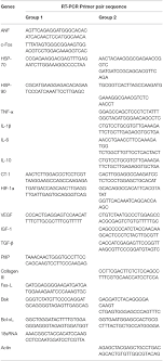 Netflix sul proprio sito afferma la riproduzione di film e serie tv sulla piattaforma prevede un consumo da 1 gb all'ora per contenuti in formato standard fino a 3 gb all'ora per quelli in hd. Frontiers Right Atrial Myocardial Remodeling In Children With Atrial Septal Defect Involves Inflammation Growth Fibrosis And Apoptosis Pediatrics