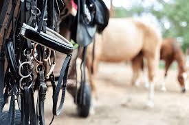 Aaron Martin Harness