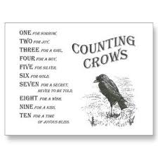 This Reminds Me Of The Book The Secret Of The Seven Crows I Loved That Book When I Was A Kid Crow Counting Crows Crows Ravens