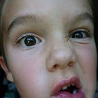 Pope Joan by Donna Woolfolk Cross