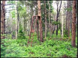 We did not find results for: Homemade Tree Stand Ideas