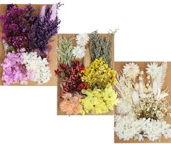 Use coupon code daniellewalcott for a 10% discount off your purchase ✅ shopping my dollar tree affiliate links in the supply list ✅ shopping my amazon affiliate links in the supply list all at no cost to you. Dried Flowers Daisy Leaves Hydrangeas Multiple Natural Pressed Flowers Colorful Decorative Dried Flowers For Crafts 131 Pieces Color 1 Amazon De Kuche Haushalt