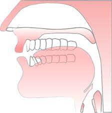 Dental hygienist ali lowe discusses the. Pronounce H Sound Pronuncian American English Pronunciation