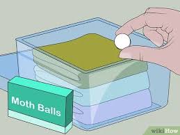 How to use mothballs in garden. How To Use Mothballs 12 Steps With Pictures Wikihow