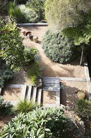 The New Look Aussie Backyard Native Plant Project In 2020 Backyard Landscaping Designs Landscape Design Garden Landscape Design