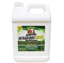 Our university backed spray has 400% more active ingredients than leading brands. 6 Best Rabbit Repellents Deterrents With Reviews Pet Care Advisors