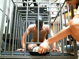 Enjoy our hd porno videos on any device of your choosing! Mistress Gaia Humiliation Femdom