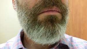 It's not grey, it's silver! How Do You Deal With Those Wiry Grey Hairs That Won T Behave Will They Eventually Lie Down As They Get Long Don T Know If I Can Make It Beards