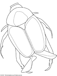 Free printable beetles coloring pages. Japanese Beetle Coloring Page Audio Stories For Kids Free Coloring Pages Colouring Printables