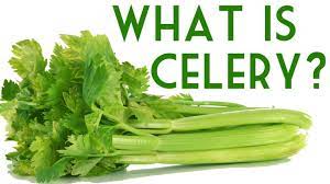 Txt » и записывает их в What Is Celery Health Benefits Of Celery Youtube