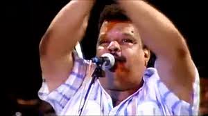 Resultado de imagem para tim maia wikipedia