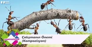 While we hope this page is a space for us all to stretch ourselves outside our comfort zones, challenging conversations are only possible in an atmosphere of compassion and mutual respect. Calismanin Onemi Kompozisyon Turkce Odevim