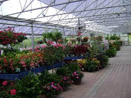 Lola Colonial Garden Center Colonial Garden Garden Center Displays Garden Center