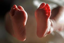 Baby Found Crawling Across Busy Highway Wtsp Com