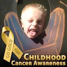 What are some good lawn care services in Foxboro?