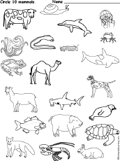 The skeleton originated from cartilage in the womb d. Placental Mammals Enchantedlearning Com