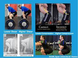 This article will teach you how to avoid injury and prevent pain during a workout session. Why You Can And Should Lift Weights With A Herniated Disc Tony Gentilcore