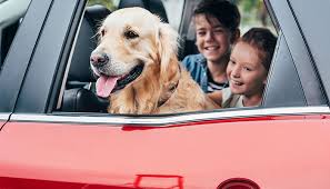 5 Reasons Credit Unions Offer The Best Auto Loans Texas Dps Credit Union