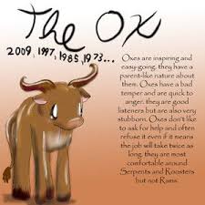 Year Of The Ox Chinese Zodiac Chinese Zodiac Signs Chinese Astrology