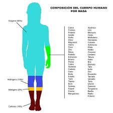 Presentan distintos grados de complejidad que van desde moléculas tan sencillas como el metano (ch4). Importancia De Los Elementos Quimicos Para Los Seres Vivos