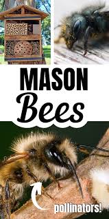 Check spelling or type a new query. Pin On Gardening Outdoor Living