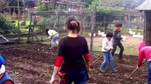 Nuestro compromiso es contribuir a vivir en ambientes más higiénicos, mantener la belleza y limpieza de su vivienda, ofreciéndoles la solución más completa para el hogar a través de nuestras marcas de prestigio. Waldorf Limache Chile 2014 Youtube