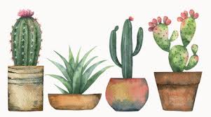 Download this mexican cactus in sombrero hand drawn watercolor illustration isolated on white background vector illustration now. Fototapete Watercolor Vector Set Of Cacti And Succulent Plants Isolated On White Background Elenamedvedeva
