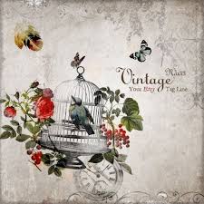 Bird In A Gilded Cage Book Etsy Banner Vintage Bird In A Gilded Cage And Roses Etsy Shop Banner 25 00 Via Etsy Etsy Shop Banner Etsy Banner Etsy Banner Set