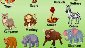 Check spelling or type a new query. 10 Wild Animals Name Wild Animals In English English Grammar Here
