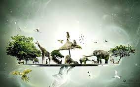 Guitar Creative Art Hd Desktop Wallpaper Widescreen High 900 563 Creati Descargar Fondos De Pantalla Gratis Descargar Fondo De Pantalla Imagenes Creativas