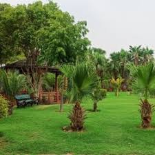 Rewari Steam Loco Shed in Railway ...